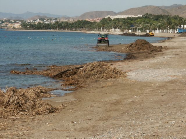 Las consecuencias de la lluvia alcanzan las playas de Isla Plana y La Azohía - 5, Foto 5