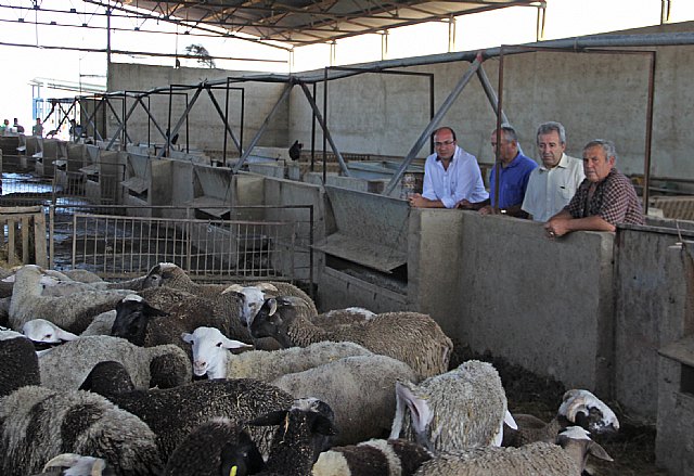 La evaluación inicial de daños en el sector agrario establece una ´zona cero´ de 9.000 hectáreas dañadas en la comarca del Guadalentín - 1, Foto 1