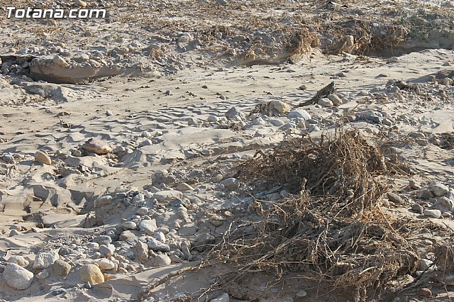La CHS estudia los daños producidos en el trmino municipal de Totana por el temporal del lluvias torrenciales - 10