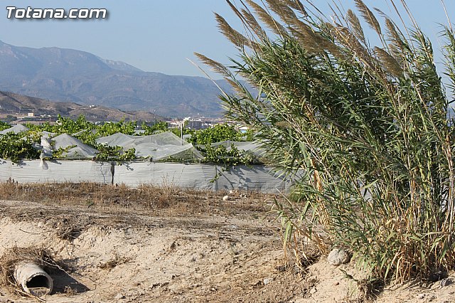 La CHS estudia los daños producidos en el trmino municipal de Totana por el temporal del lluvias torrenciales - 14