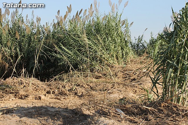 La CHS estudia los daños producidos en el trmino municipal de Totana por el temporal del lluvias torrenciales - 16
