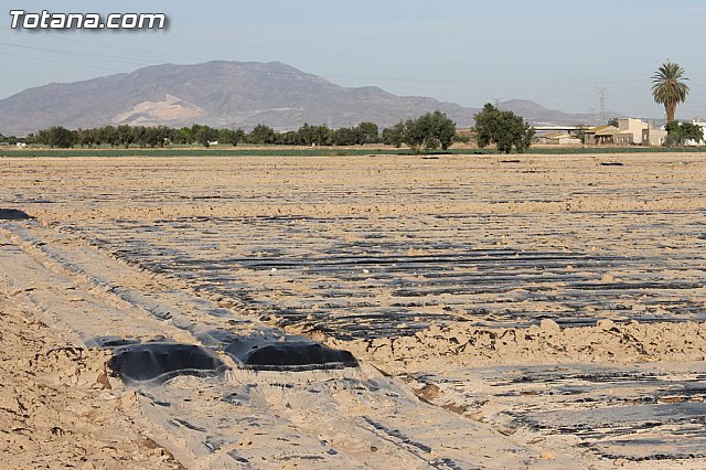 La CHS estudia los daños producidos en el trmino municipal de Totana por el temporal del lluvias torrenciales - 18