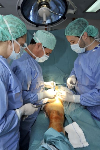 El II Simposium de Angiología y Cirugía Vascular de la Región de Murcia reúne a destacados expertos nacionales y cubanos de esta especialidad. - 1, Foto 1