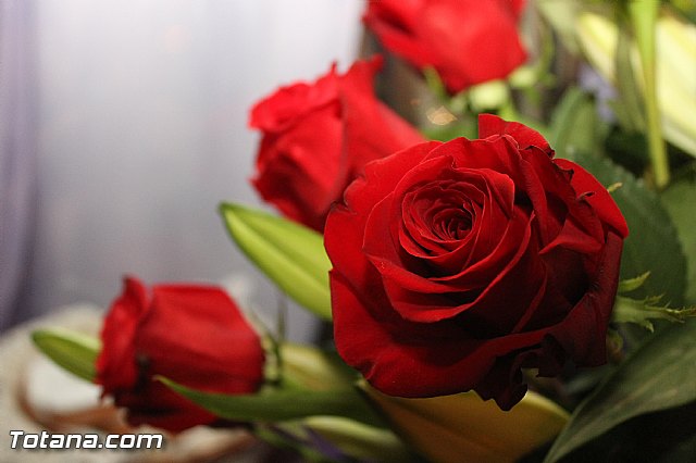 Las actividades organizadas con motivo de las fiestas de San Francisco arrancan con la inauguracin de la hornacina al patrn del barrio - 16