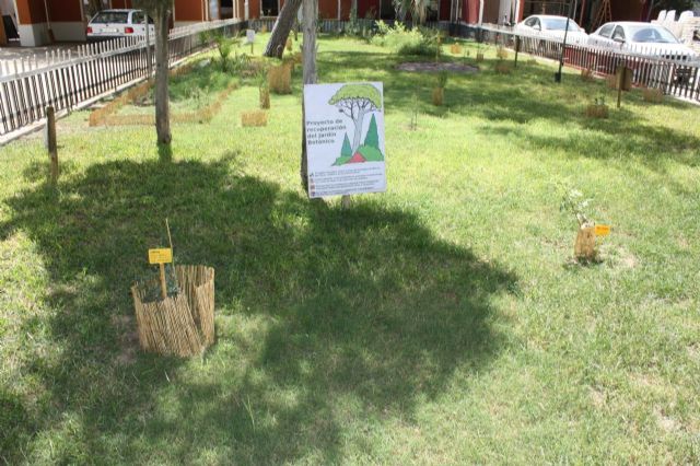 La Oficina Verde inicia el proyecto de mantenimiento de parterres del Jardín del Malecón - 1, Foto 1