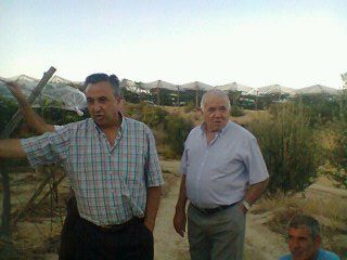 El director regional de Agroseguro visita las explotaciones agrarias siniestradas de Totana - 3, Foto 3