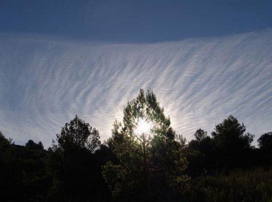 Organizan una excursin senderista de la Ermita de Lebor al Castillo de Aledo - 6