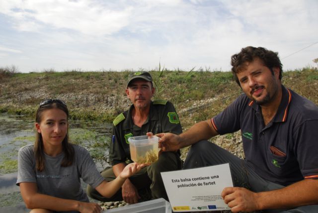 Carmen Martínez (Técnico de ANSE)/Armando (Agente Medioambiental) y Eusebio León (Agricultor) en una de las sueltas de fartet realizada el día de ayer (P.García/ANSE), Foto 1