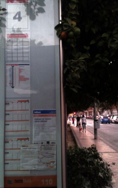 El Grupo Socialista denuncia que la señalización de las antiguas líneas urbanas permanece en las paradas dos semanas después del cambio de empresa - 1, Foto 1