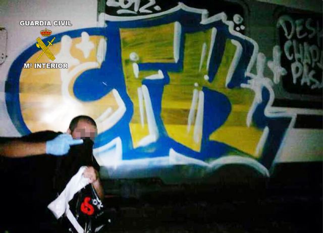 La Guardia Civil detiene a un grupo de graffiteros por pintadas en inmuebles, bienes protegidos y vagones de tren - 4, Foto 4