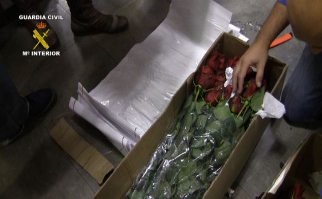 La Guardia Civil desmantela un grupo organizado que importaba cocaína oculta en flores frescas - 3, Foto 3