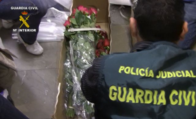 La Guardia Civil desmantela un grupo organizado que importaba cocaína oculta en flores frescas - 5, Foto 5