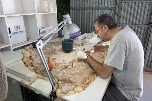 Los restauradores ensamblan las piezas de dos de los murales más importantes del Foro Romano - 2, Foto 2