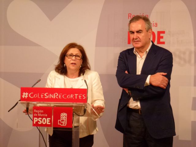 El PSOE denuncia que, desde que llegó al Gobierno, el PP está desmantelando la Ley de Dependencia - 1, Foto 1