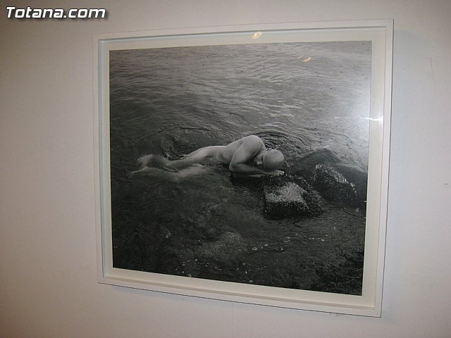 Totana acoge la exposicin 