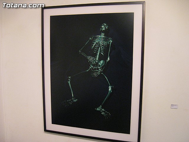 Totana acoge la exposicin 