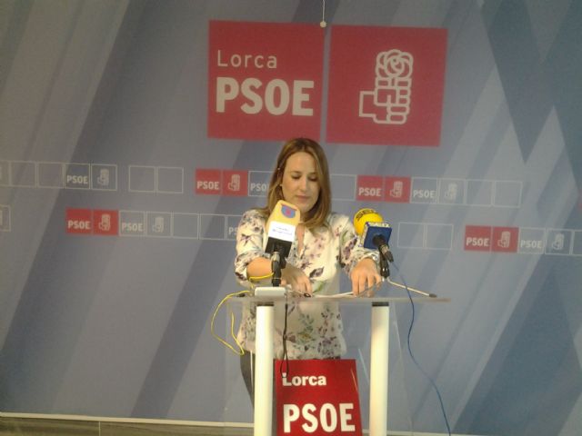 El PSOE denuncia la masificación que sufre el Centro de Salud de San Diego - 1, Foto 1