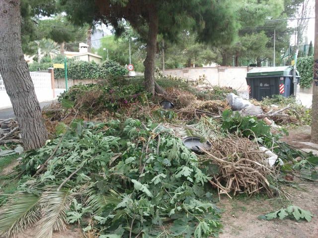 UPyD Cartagena exige la instalación de contenedores para la poda de los vecinos de tentegora - 1, Foto 1