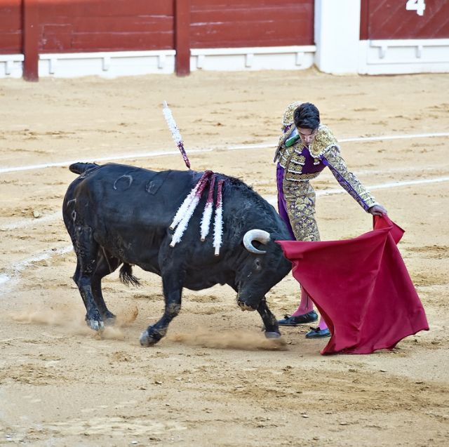 Madrid acoge la exposición fotográfica Toros de Fiesta - 2, Foto 2