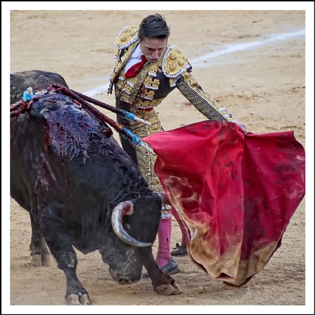 Madrid acoge la exposición fotográfica Toros de Fiesta - 3, Foto 3