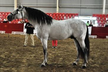 Lleno absoluto en FERICAB - 1, Foto 1