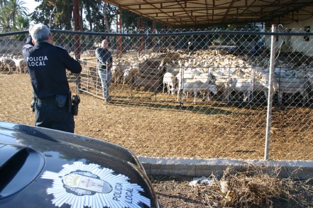 Hasta el próximo día 30 de noviembre está abierto el plazo para solicitar la participación en el Consejo Municipal Asesor Agrario y Ganadero, Foto 1