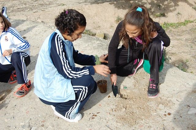 Los escolares de Alguazas se apuntan a la repoblación forestal de la Vía Verde del Noroeste - 2, Foto 2