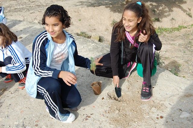 Los escolares de Alguazas se apuntan a la repoblación forestal de la Vía Verde del Noroeste - 3, Foto 3