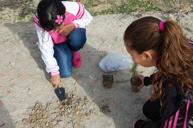Los escolares de Alguazas se apuntan a la repoblación forestal de la Vía Verde del Noroeste - 5, Foto 5