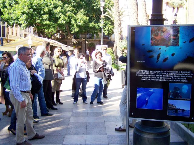 Diving Águilas muestra la belleza de los fondos marinos - 2, Foto 2
