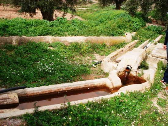 La concejalía de Agricultura solicitará a la CHS a ampliar la cobertura legal a los riegos históricos existentes en Totana, Foto 1
