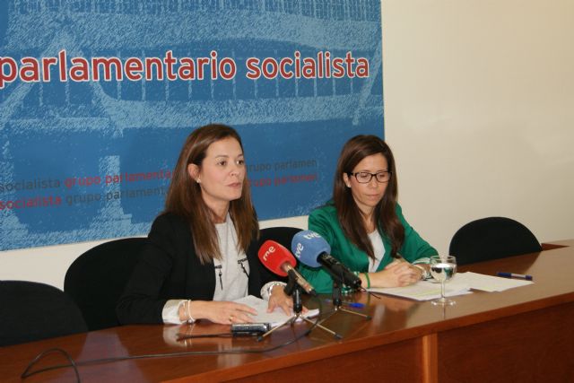 El PSOE denuncia que el Gobierno regional condena a los jóvenes de la Región a no poder estudiar ni trabajar - 1, Foto 1