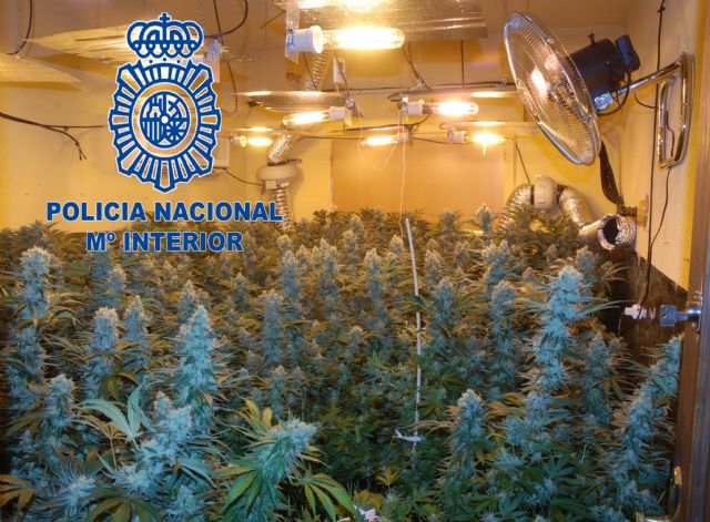 La Policía desmantela una plantación de marihuana ubicada en una vivienda de Molina de Segura - 1, Foto 1