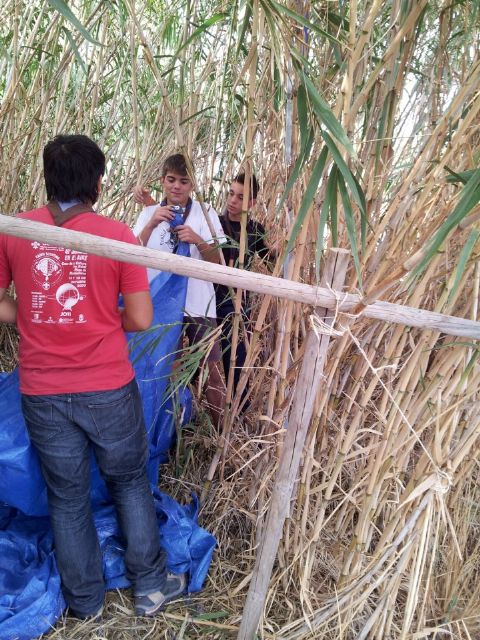Replantación y convivencia Scout en el Molino del Saltador - 2, Foto 2