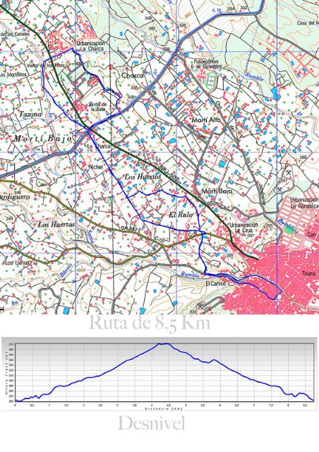 AEMA III organiza una Jornada de Convivencia, dirigido a afectados de Esclerosis Múltiple, familiares y amigos en Totana, Foto 2