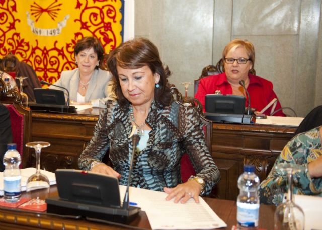 Las mayoría de las tasas por licencia de obra se mantendrán sin subidas - 2, Foto 2