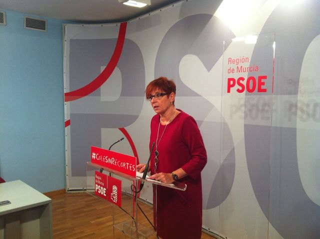 García Retegui califica de ilegalidad e inmoralidad que el Gobierno regional no pague la Renta Básica de Inserción - 1, Foto 1