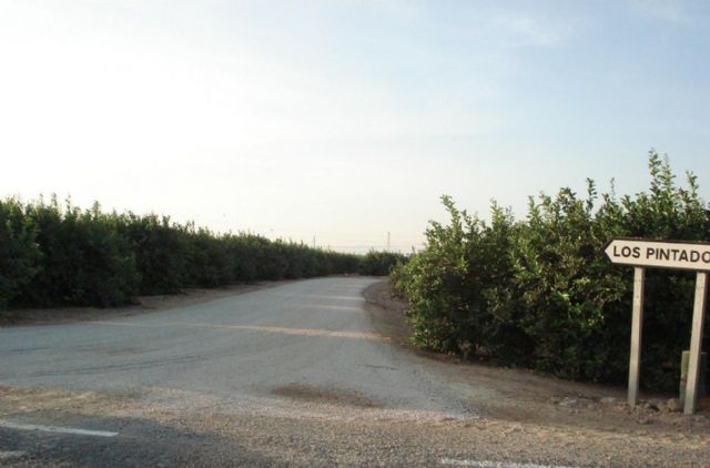 Continúan las labores de acondicionamiento de espacios en El Albujón y Las Lomas - 2, Foto 2