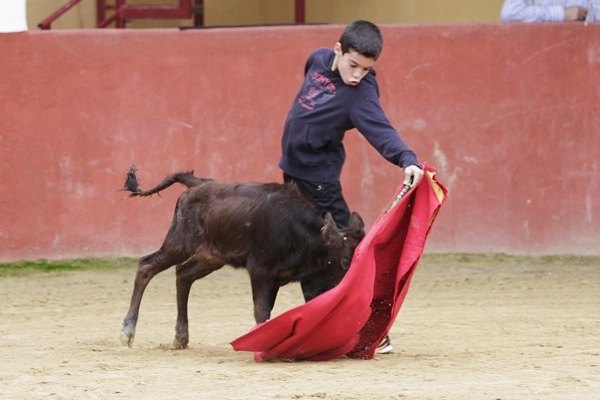 Los alumnos más pequeños de la Escuela torean su primera becerra - 2, Foto 2