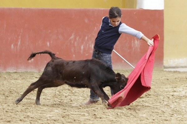 Los alumnos más pequeños de la Escuela torean su primera becerra - 3, Foto 3