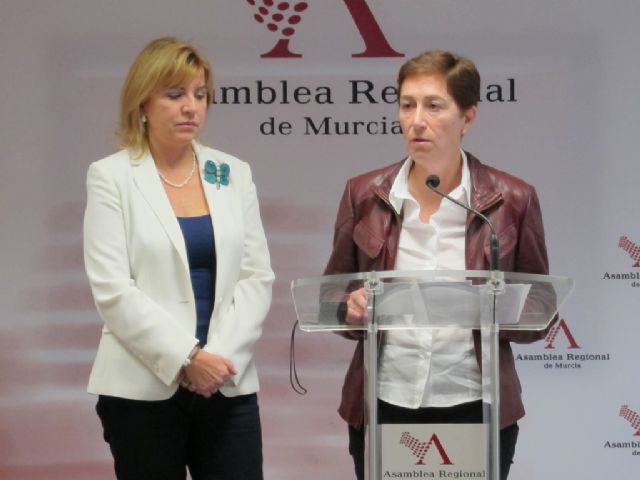 Lorenzo (PP): Estos presupuestos son el ejemplo de una impecable gestión porque con menos recursos se mantienen todos los servicios - 1, Foto 1