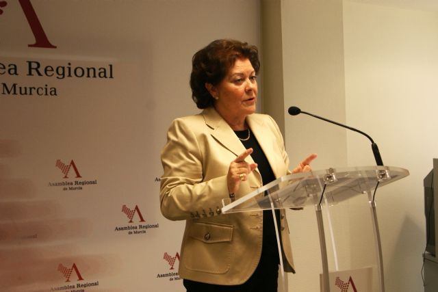 Los agujeros y recortes del presupuesto del Servicio Murciano de Salud para 2013 ponen en grave riesgo la sanidad regional y hacen inútiles los sacrificios de los ciudadanos - 1, Foto 1