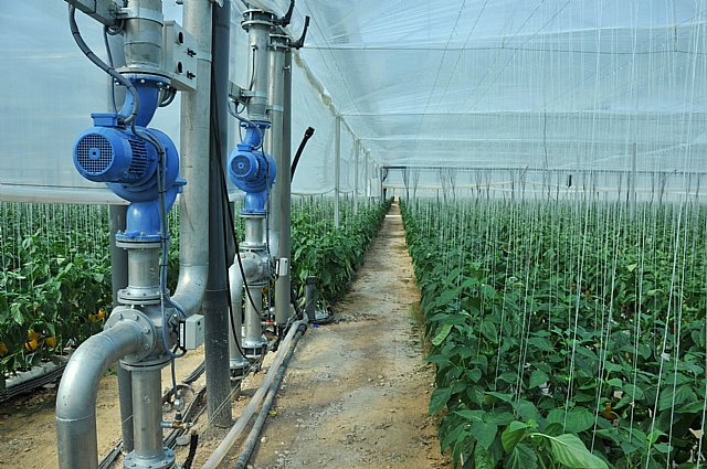 Agricultura valora la buena acogida de las ayudas para la incorporación de jóvenes agricultores y modernización de explotaciones - 1, Foto 1