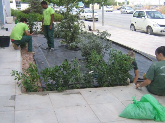 La concejalía de Fomento del Empleo va a poner en funcionamiento el Programa de Cualificación inicial denominado Actividades Auxiliares en Viveros y Jardines, Foto 1