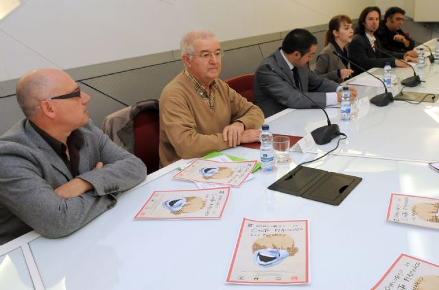 16 artistas de Andalucía, Murcia y Comunidad Valenciana participan en el III Concurso de cante flamenco de la Peña Los Pájaros - 1, Foto 1