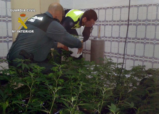Desarticulado un importante punto de producción y distribución de marihuana en Los Nietos-Cartagena - 3, Foto 3
