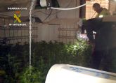 Desarticulado un importante punto de produccin y distribucin de marihuana en Los Nietos-Cartagena