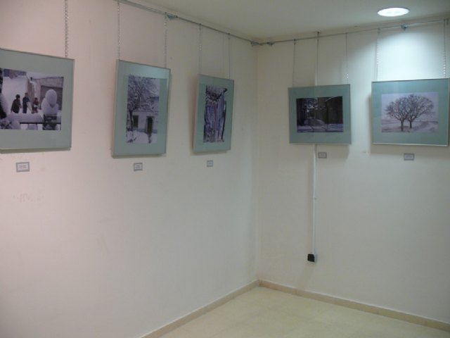 Hasta el 30 de Noviembre, puede visitarse la exposición fotográfica El Sabinar 0611, en el Museo Etnográfico y de Ciencias de la Naturaleza - 2, Foto 2