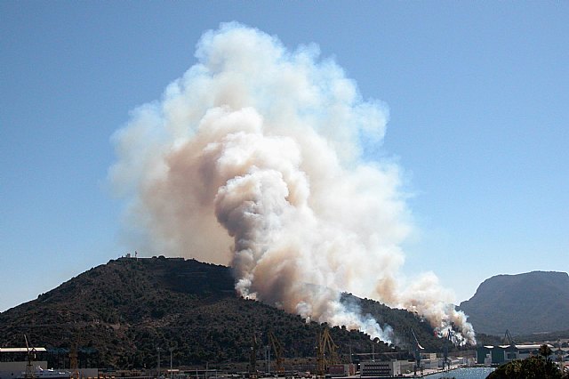 La Asociación CreeCT se presenta en sociedad convocando a una reforestación en el Monte Galeras de Cartagena el domingo 25 de noviembre - 1, Foto 1