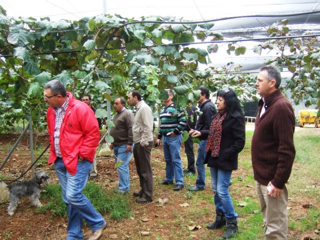 El ayuntamiento se interesa tambin por el cultivo del kiwi, Foto 2